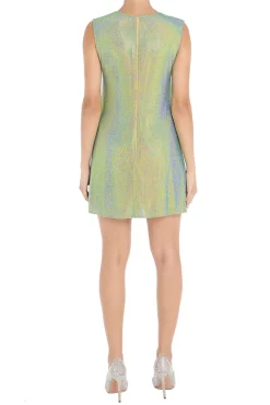 A-Line Sleeveless Mini Dress