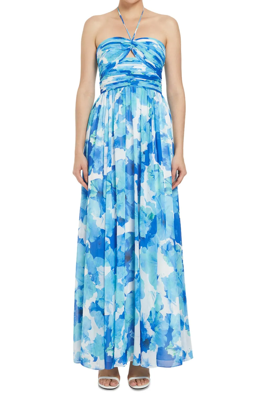 Emilia Maxi Dress