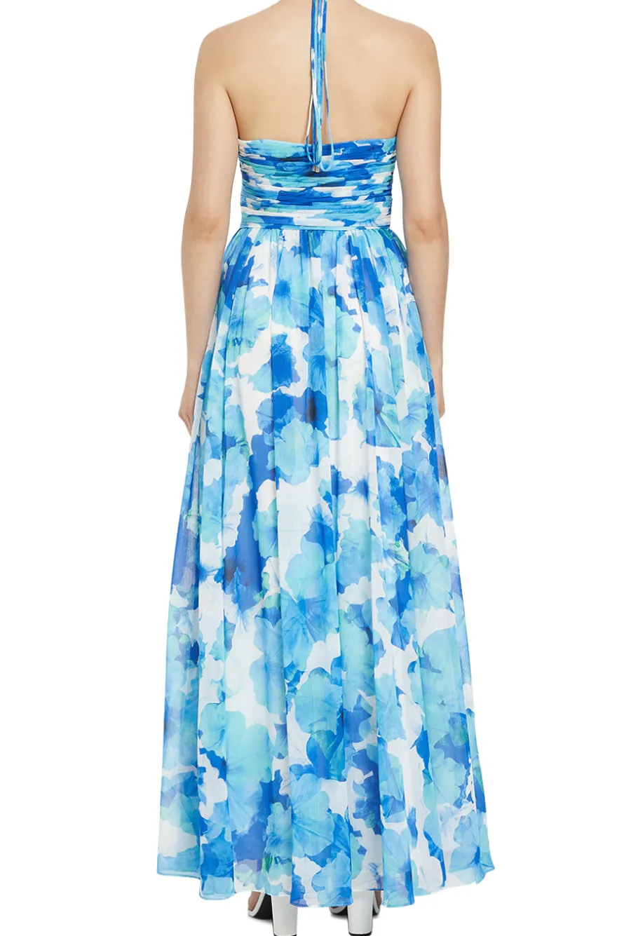 Emilia Maxi Dress