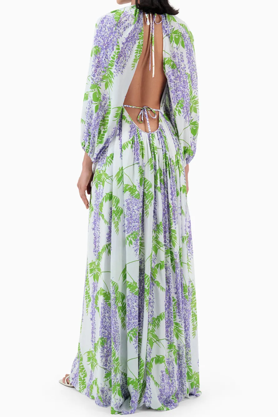 Fran Maxi Dress