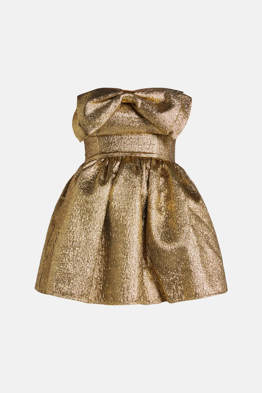 Metallic Jacquard Mini Dress