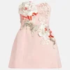 Rosario Applique Bustier Floral Mini Dress