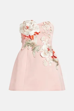 Rosario Applique Bustier Floral Mini Dress
