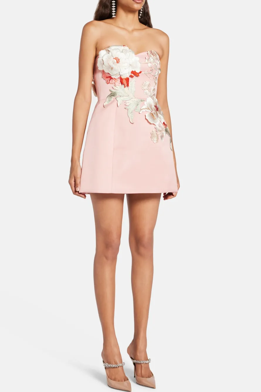 Rosario Applique Bustier Floral Mini Dress