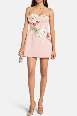Rosario Applique Bustier Floral Mini Dress