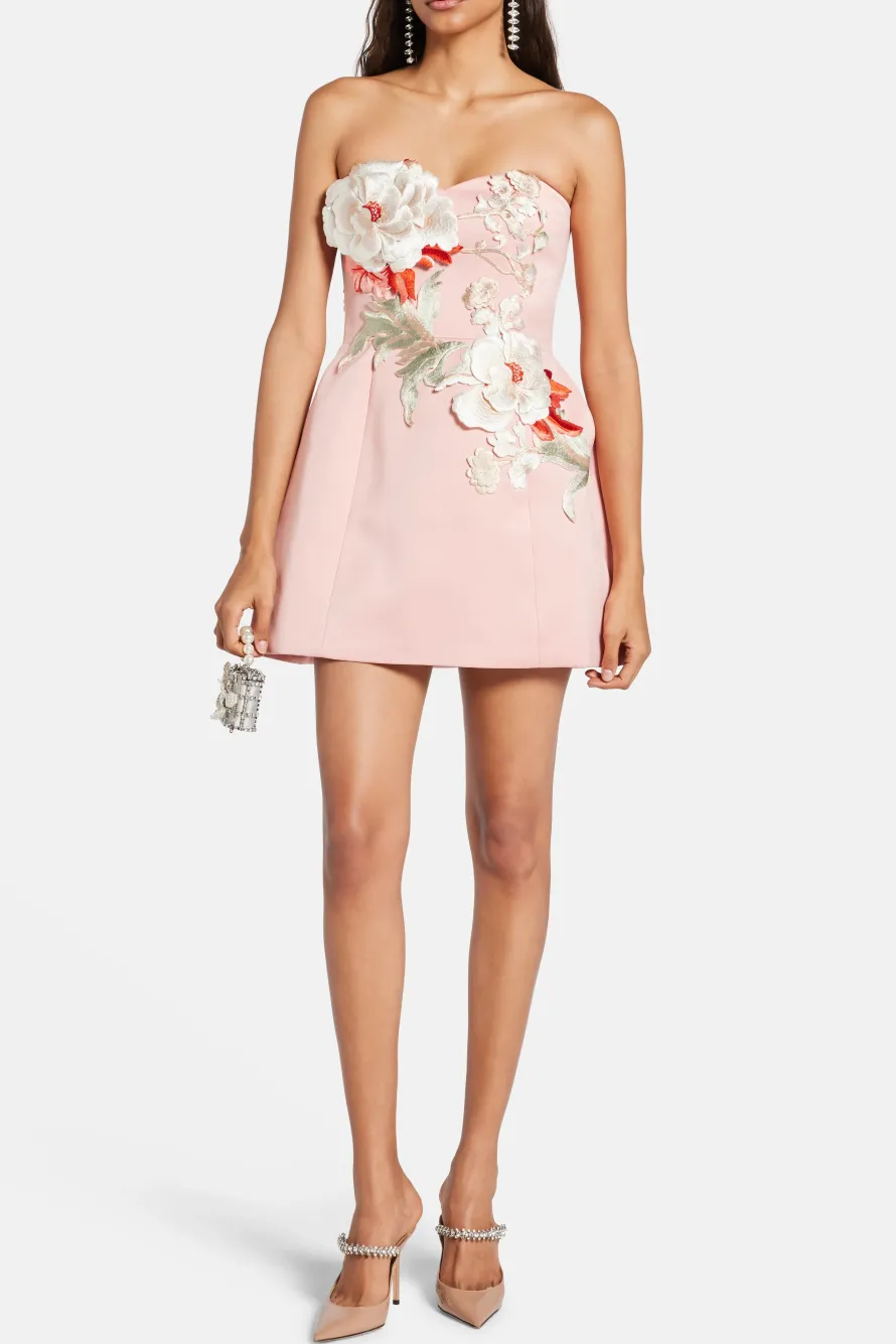 Rosario Applique Bustier Floral Mini Dress