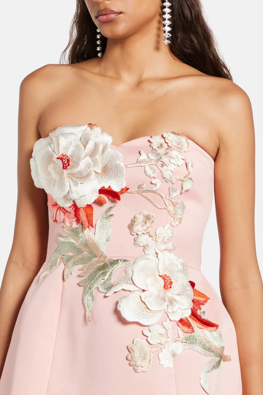 Rosario Applique Bustier Floral Mini Dress