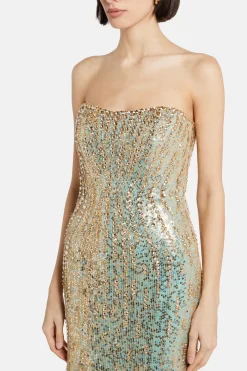 Sarai Embellished Evening Gown