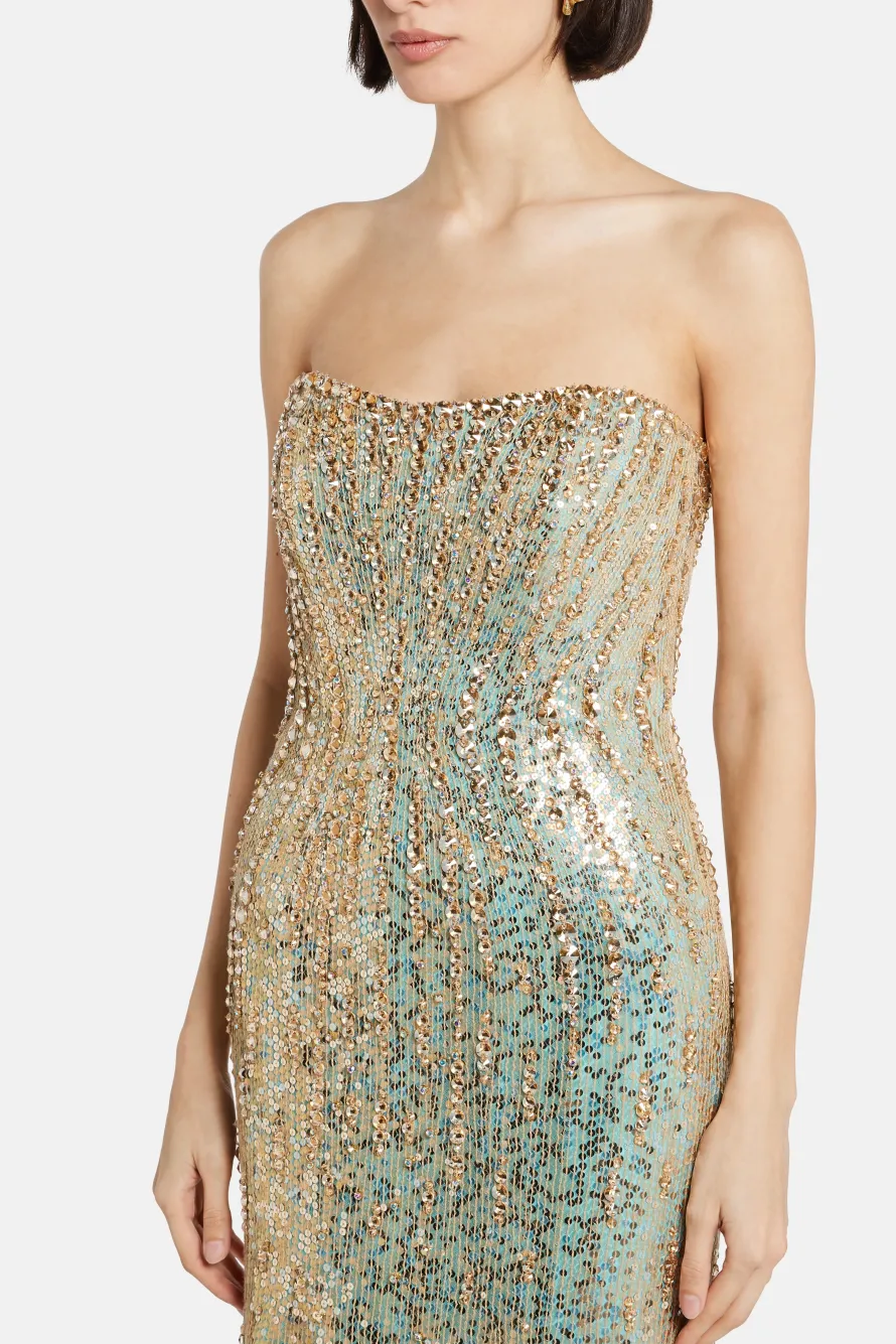 Sarai Embellished Evening Gown